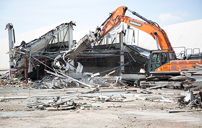 Development & Regeneration